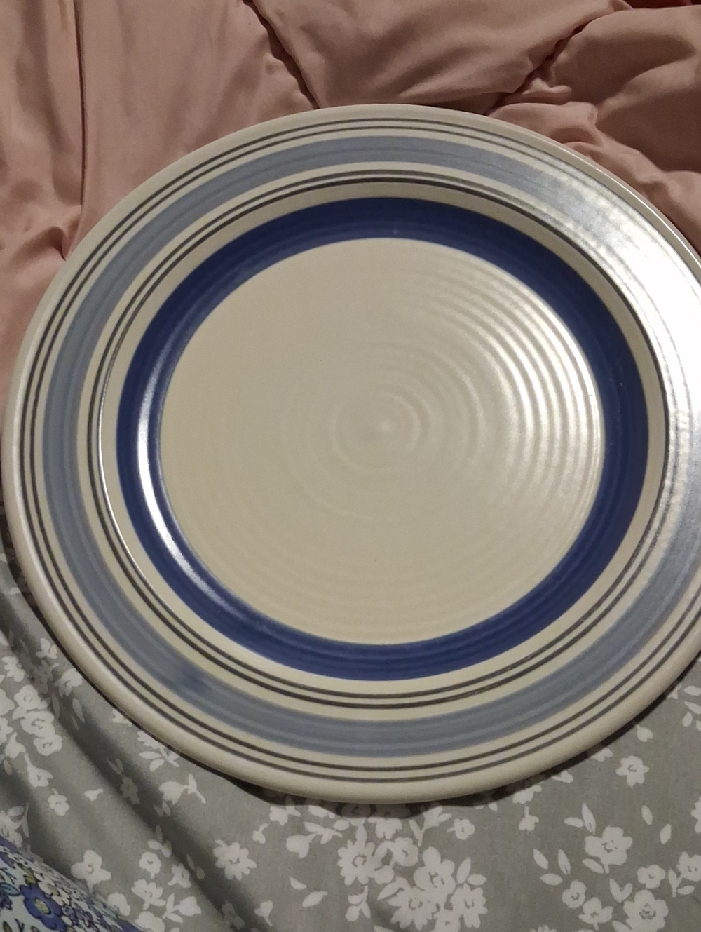Pfaltzgraff RIO PATTERN Dinner Plate in Blue & Cream with Striped Rim